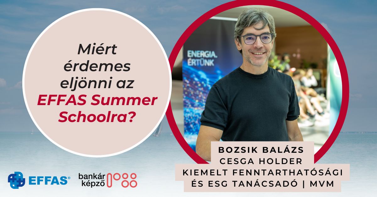 Miért gyere el jövőre az EFFAS Summer Schoolra?